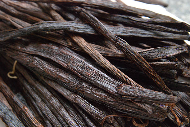 Vanilla Fragrances
