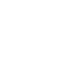 Gritti