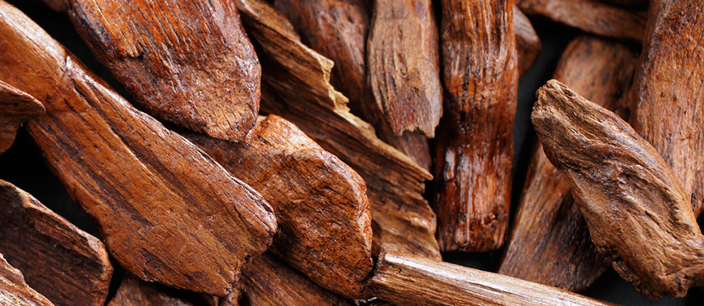 Woody Fragrances