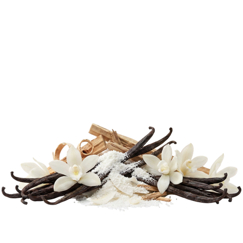 Vanilla Powder EDP - Olfactory Notes