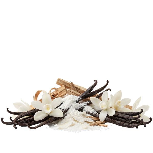 Vanilla Powder EDP