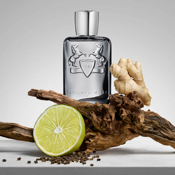 Castley EDP Tester