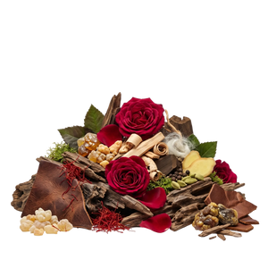 Nishane Mana XDP - Scent Notes