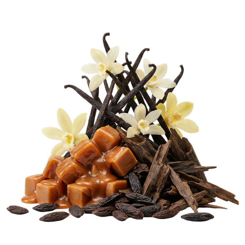 Van Exstasyx XDP - Olfactory Notes