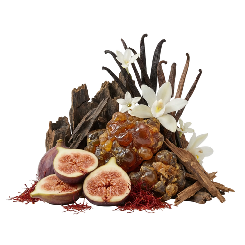 Silky Woods Elixir Tester - Olfactory Notes
