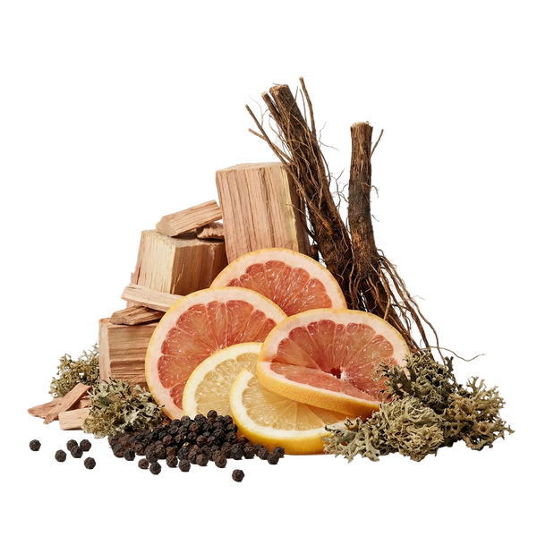 Basso EDP