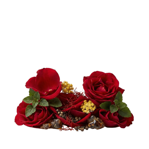 Radical Rose XDP - Olfactory Notes