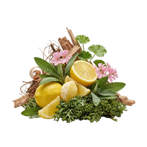 Goldfield And Banks Pacific Rock Moss EDP - Scent Notes