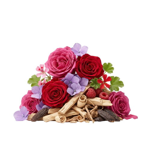 Rose Magnitude EDP - Olfactory Notes
