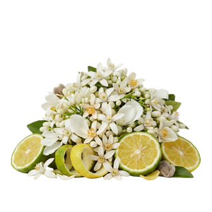 Matiere Premiere Neroli Oranger EDP - Scent Notes