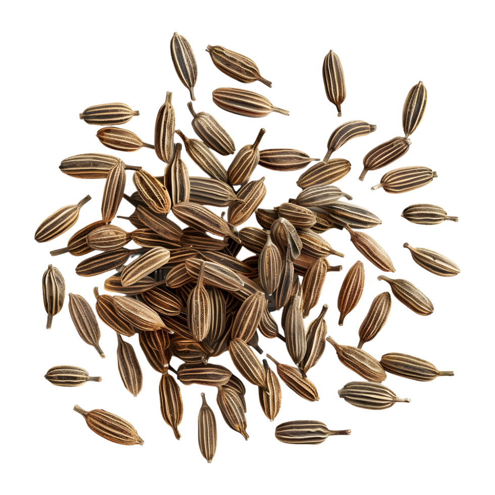 Cumin
