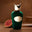 Basso EDP