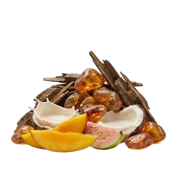 Mango Aoud XDP