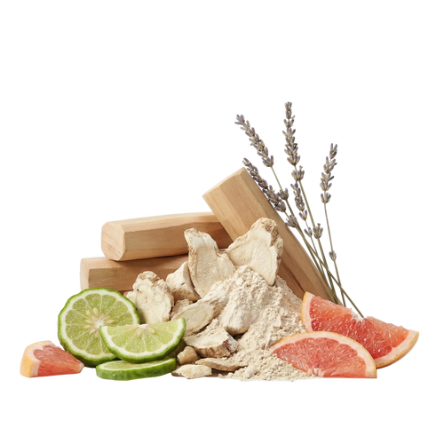 Mefisto EDP - Olfactory Notes