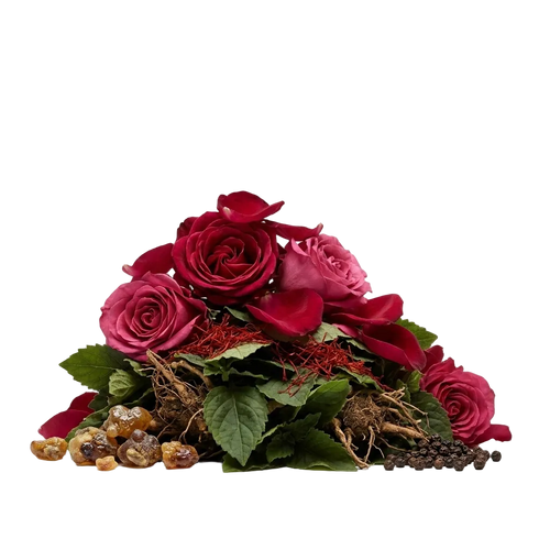 Radical Rose EDP - Olfactory Notes